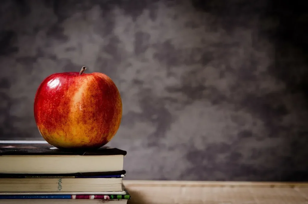 Saiba tudo sobre pós-graduação em docência ensino superior